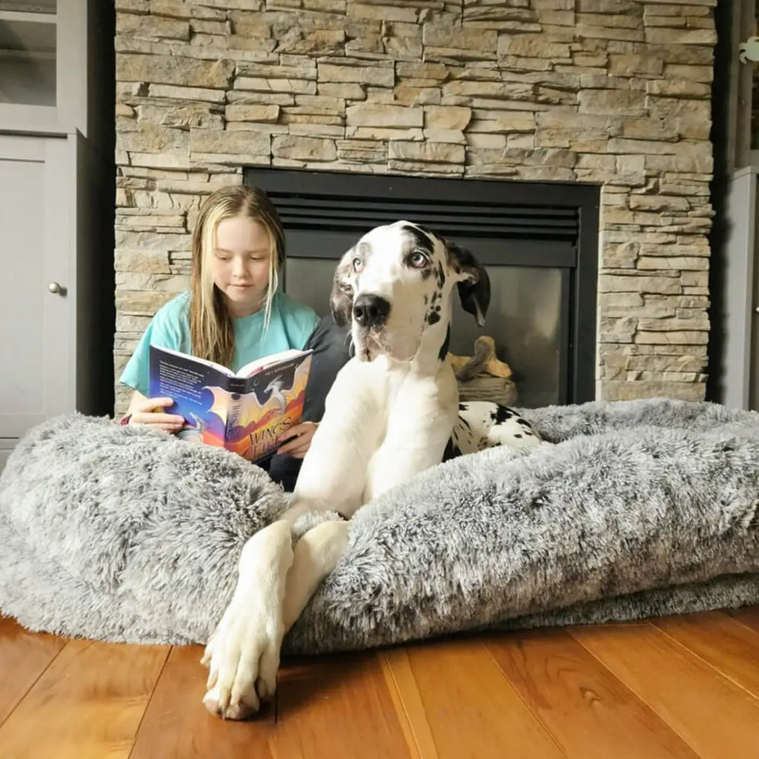 Ultimate pet and human lounge bed
