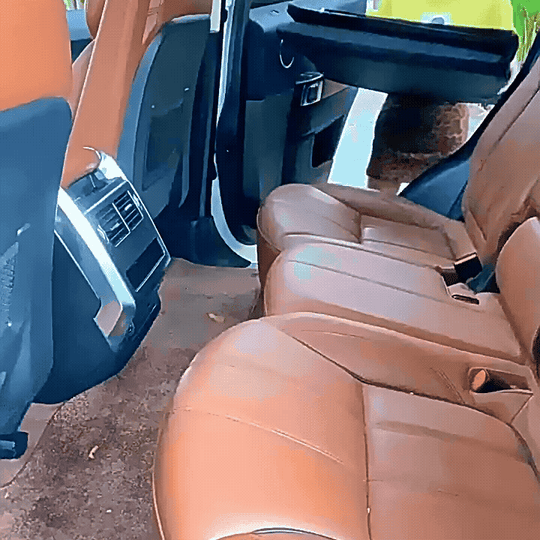 Backseat dog hammock that transforms into a spacious, cozy bed for pets on long trips