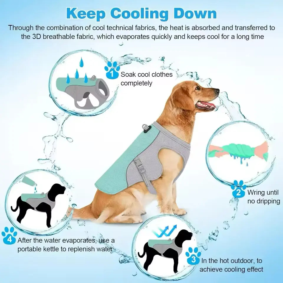 Dog vest for staying cool during hot walks