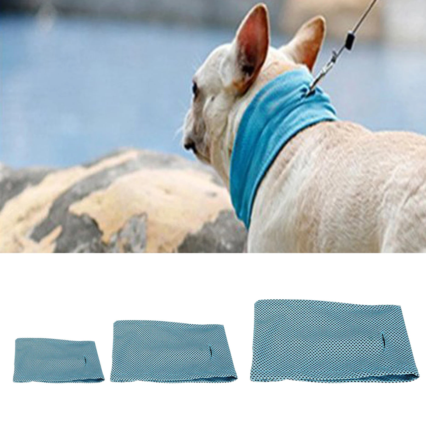 Best CoolPaws Pet Bandana for a stylish pet look.