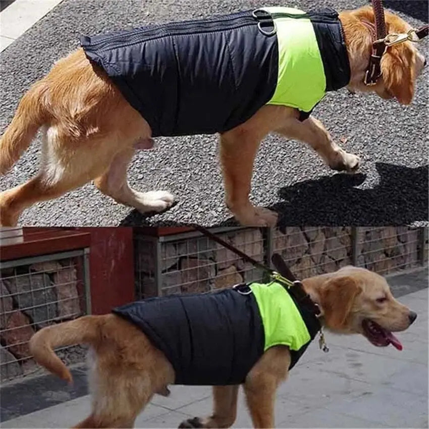 cozy fit winter vest for dogs
