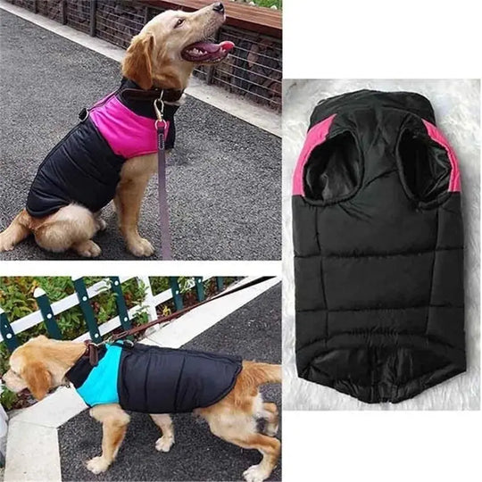 dog vest with zipper for winter walks
