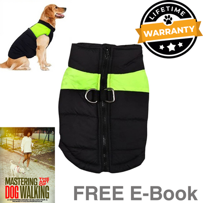hooded dog vest for winter walks
