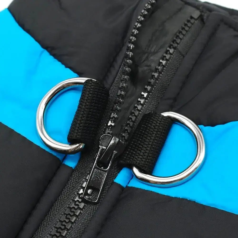 insulated winter dog vest for warmth
