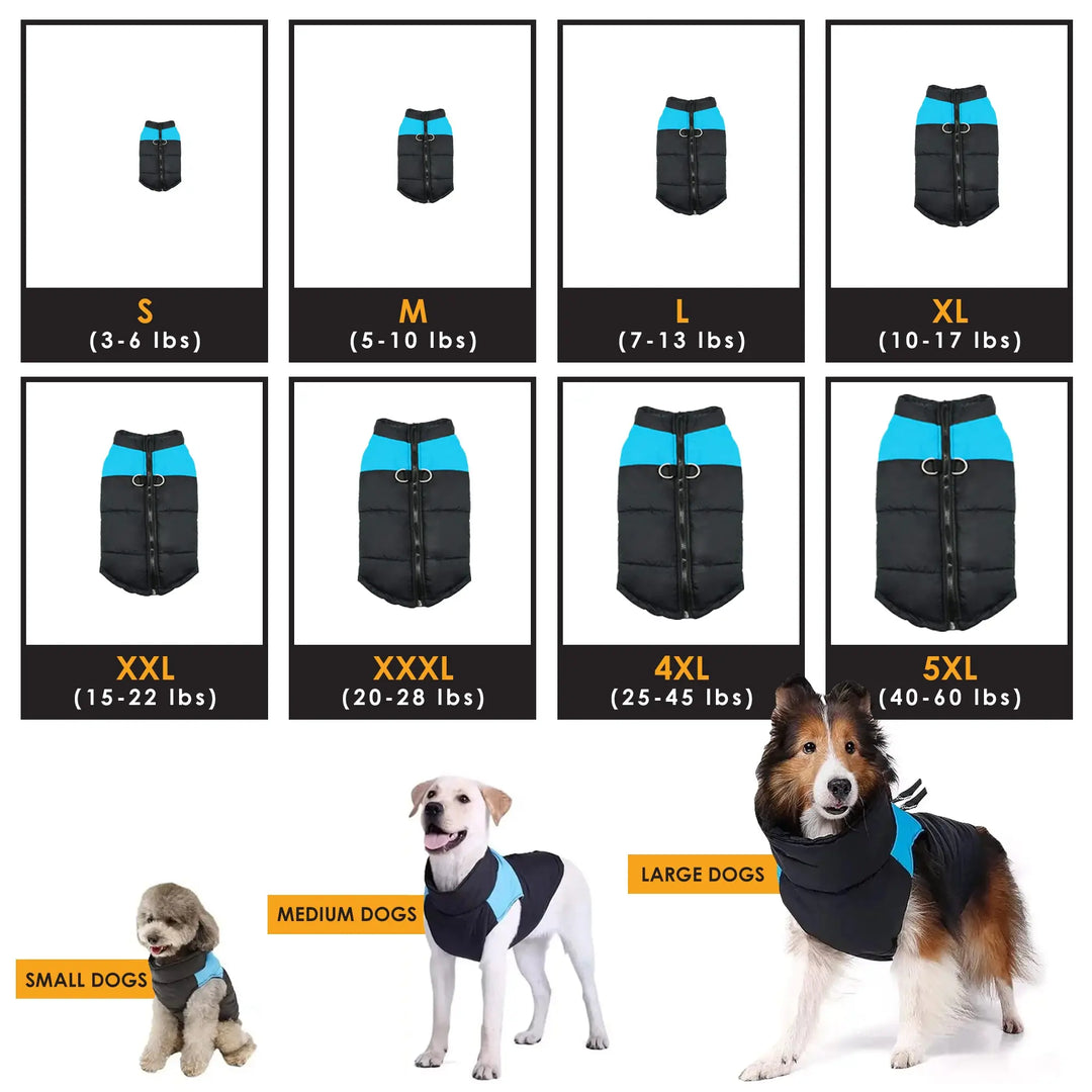 insulated winter vest for large dogs
