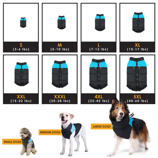 insulated winter vest for large dogs
