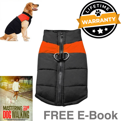 lightweight dog vest for cold days
