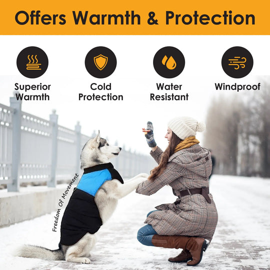 winter vest for small dogs
