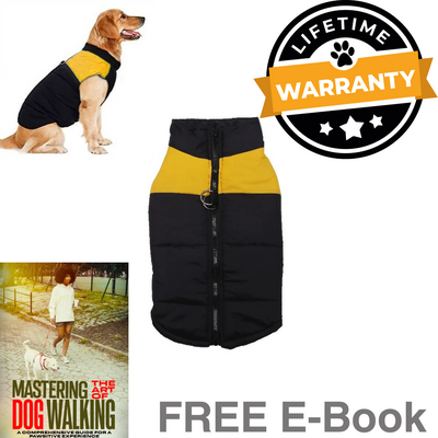 stylish winter vest for dogs
