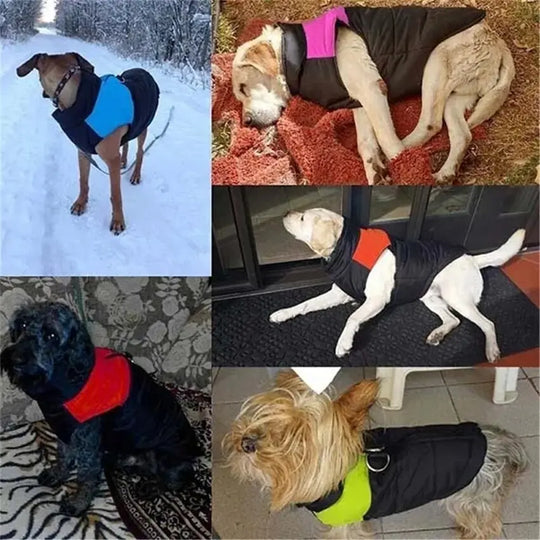 waterproof winter dog vest
