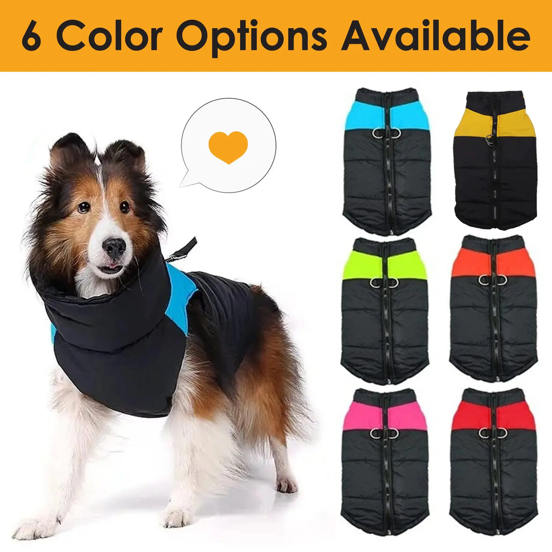 windproof dog vest for outdoor winter walks
