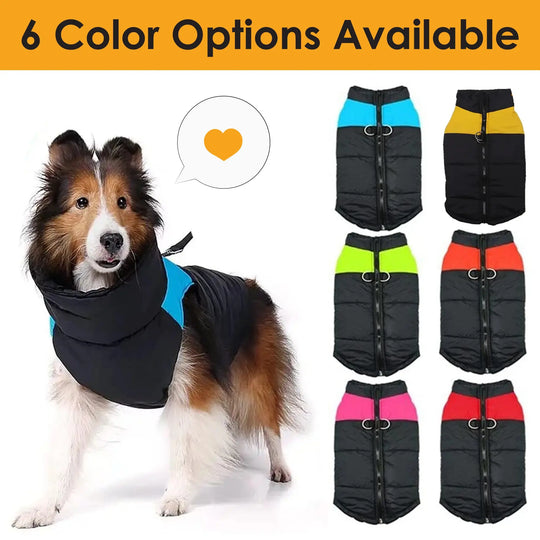 windproof dog vest for outdoor winter walks
