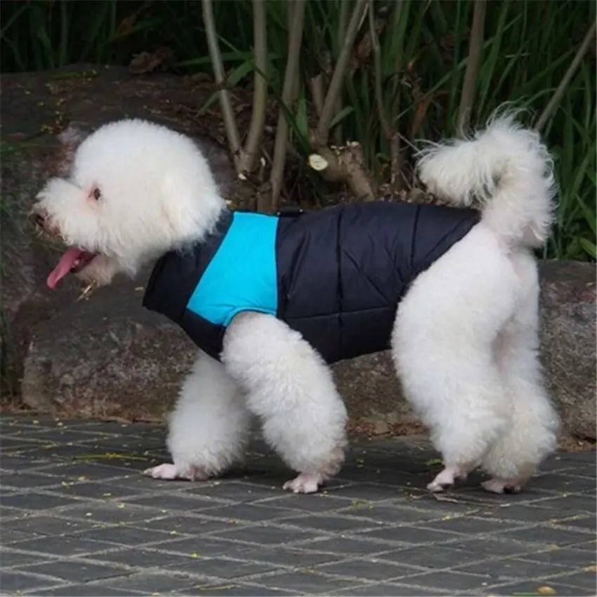 winter dog vest for cold weather
