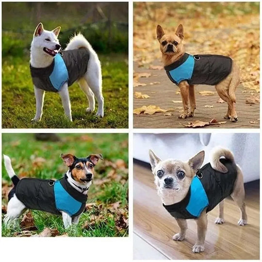 zip-up dog vest for cold weather
