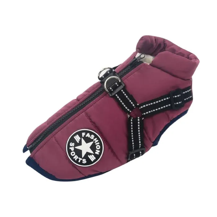 top purple waterproof dog jacket for cold, rainy days
