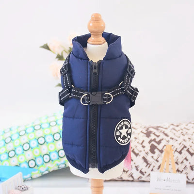blue dog coat with hood for full rain protection

