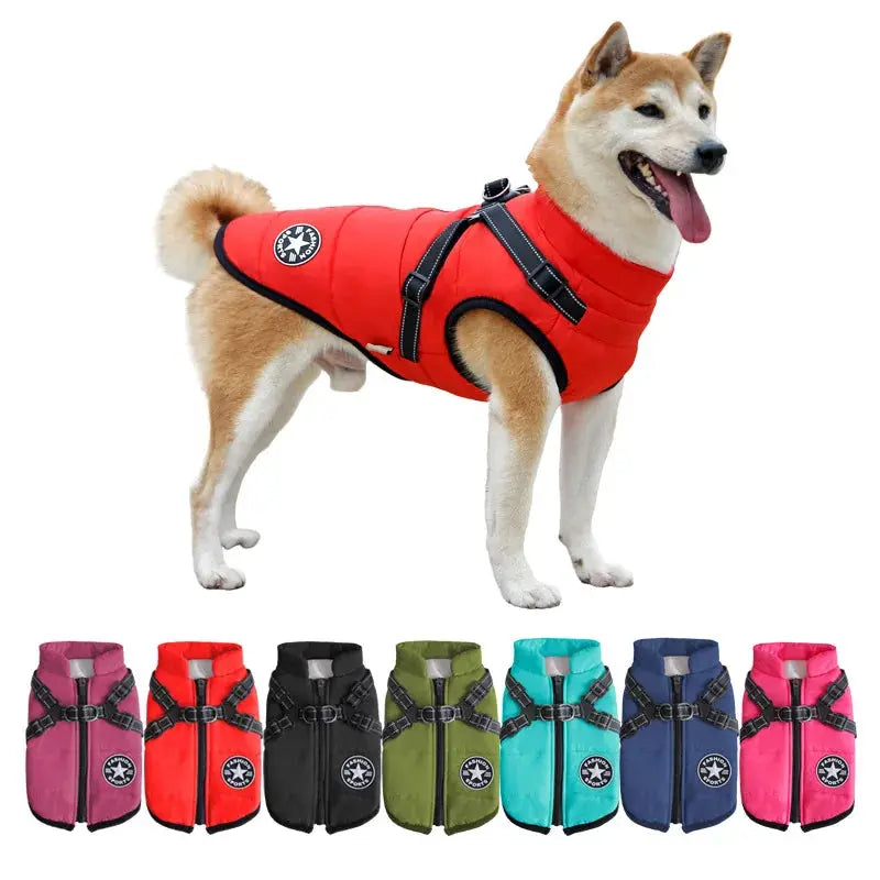 best waterproof dog jacket, available in multiple colors to keep your dog dry and stylish