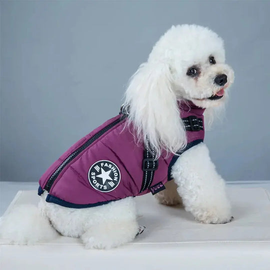 best waterproof dog jacket in purple color to keep your dog dry and stylish