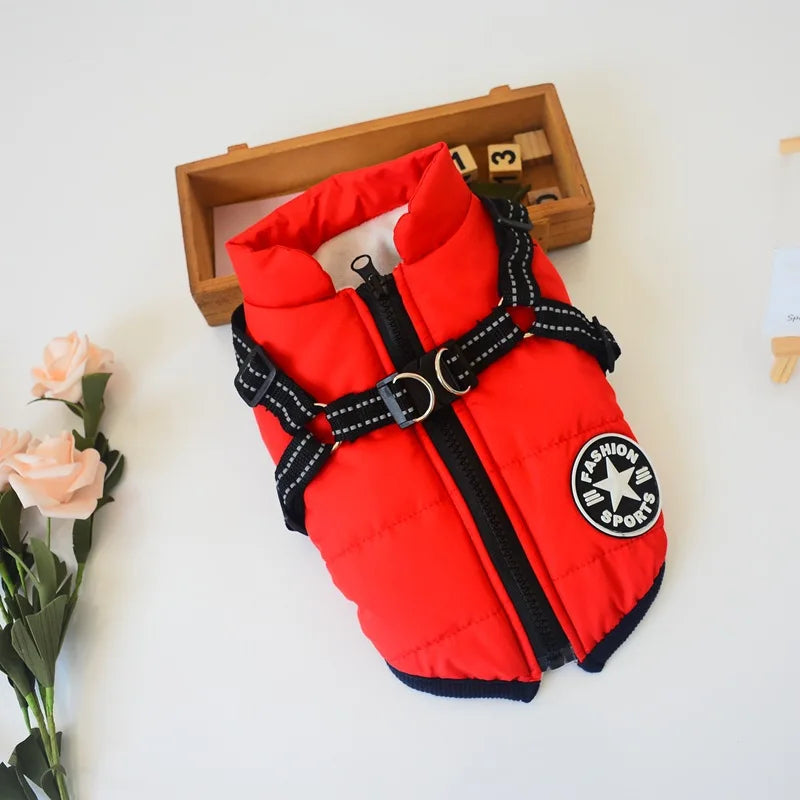 best waterproof dog jacket in red color to keep your dog dry and stylish