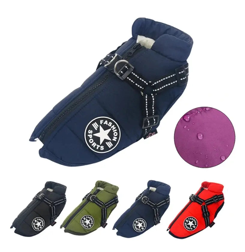 how to keep your dog comfortable in wet and windy conditions with a waterproof dog coat