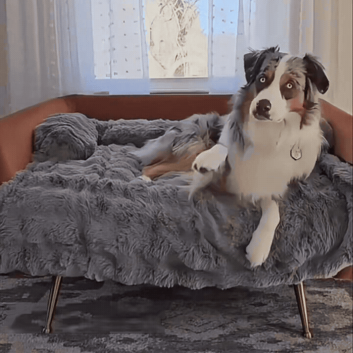 Stylish dog sofa bed with removable cover and padded cushions for easy cleaning