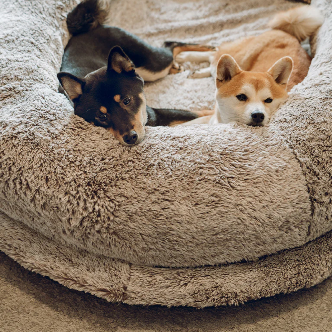 Perfect pet bed for relaxation