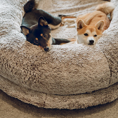 Perfect pet bed for relaxation