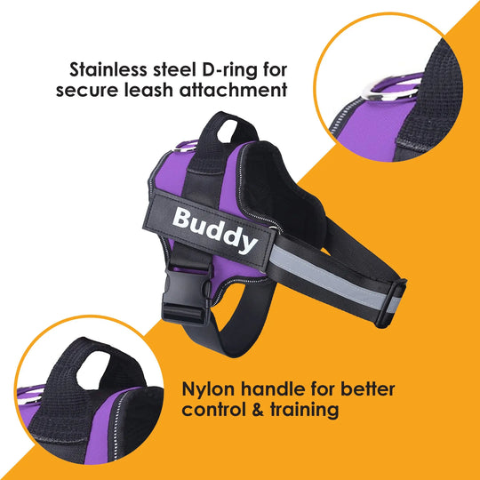 purple black No Pull Dog Harness.








