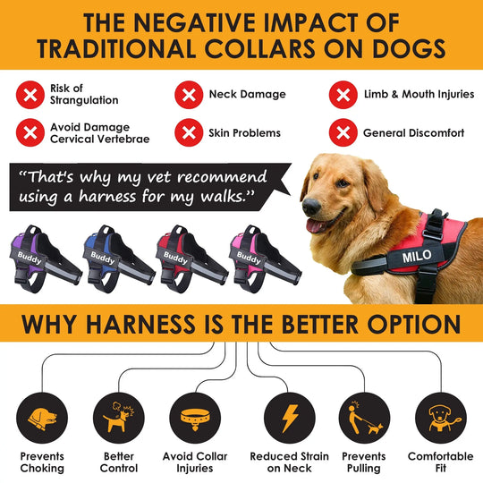 Dog harness, style 04.








