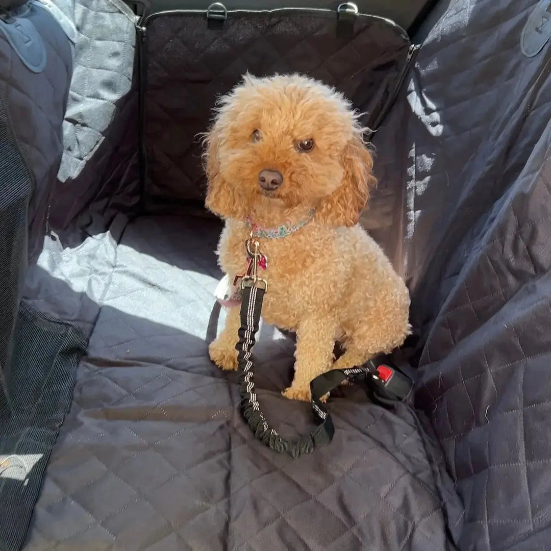 top dog hammock cover to prevent scratches and messes in your car

