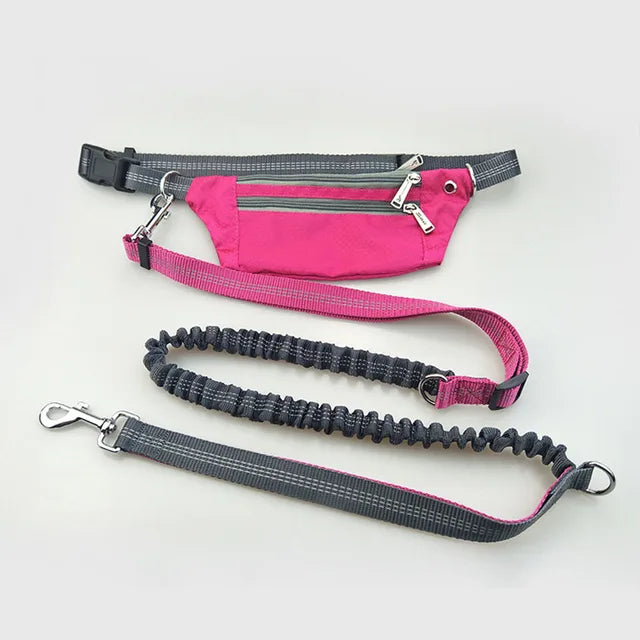 ightweight hands-free leash for pets