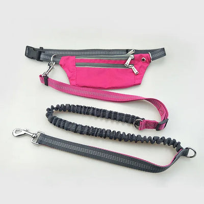 ightweight hands-free leash for pets