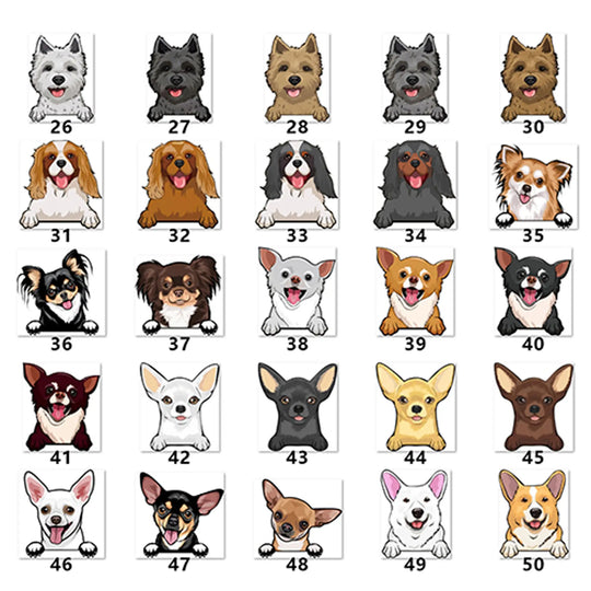 Personalized Pet Toy Basket Anodic Products