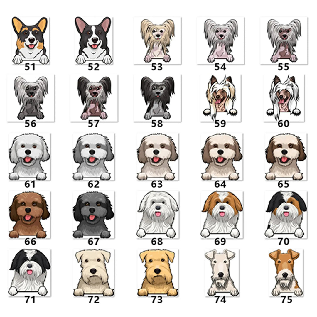 Personalized Pet Toy Basket Anodic Products