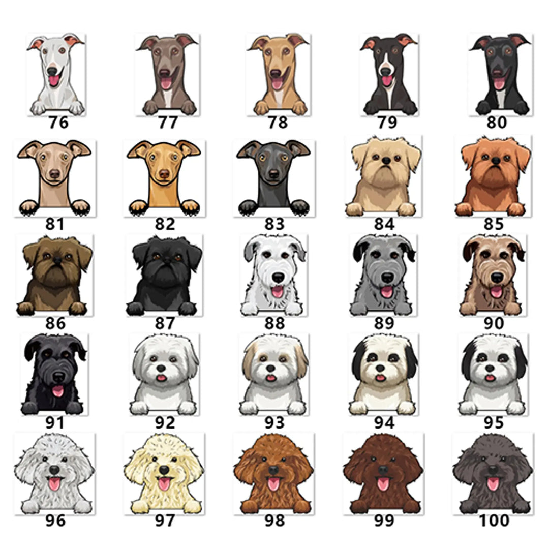 Personalized Pet Toy Basket Anodic Products