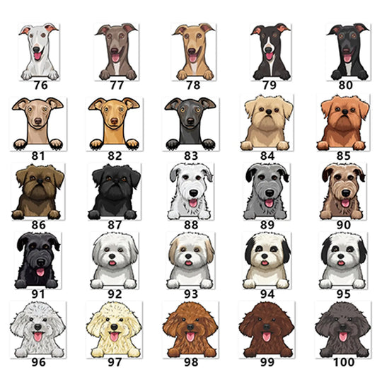 Personalized Pet Toy Basket Anodic Products