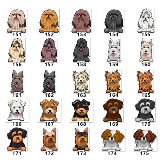 Personalized Pet Toy Basket Anodic Products