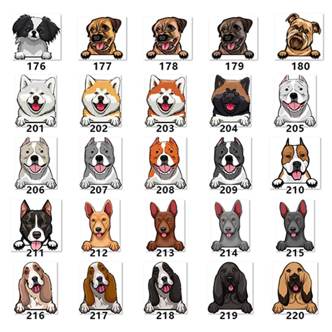 Personalized Pet Toy Basket Anodic Products