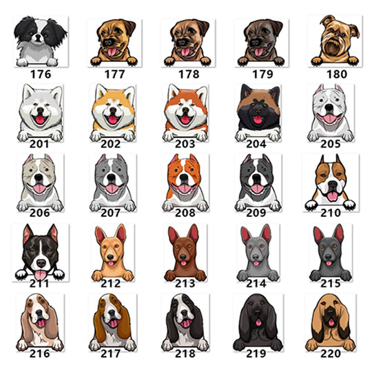 Personalized Pet Toy Basket Anodic Products