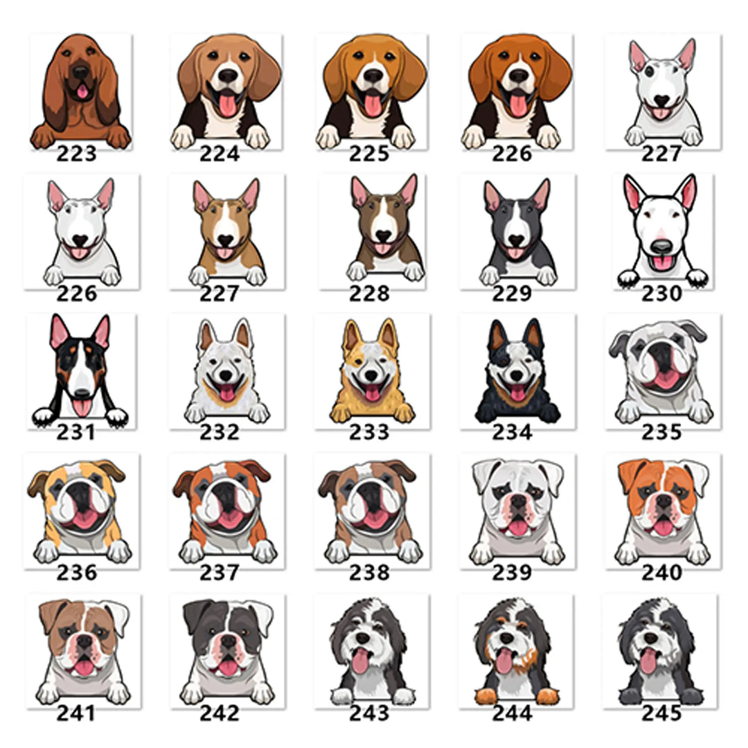 Personalized Pet Toy Basket Anodic Products