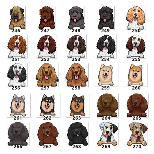 Personalized Pet Toy Basket Anodic Products