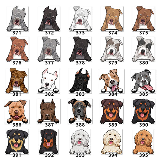 Personalized Pet Toy Basket Anodic Products