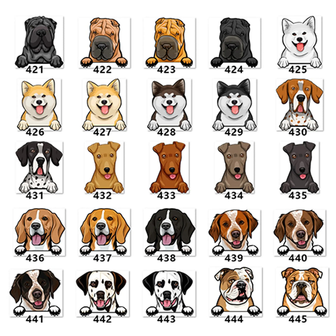 Personalized Pet Toy Basket Anodic Products