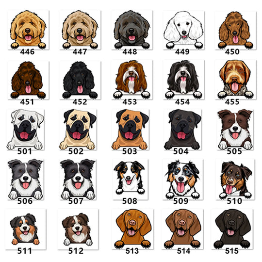 Personalized Pet Toy Basket Anodic Products