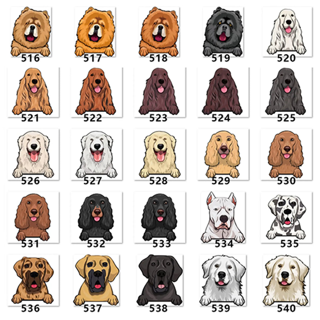 Personalized Pet Toy Basket Anodic Products