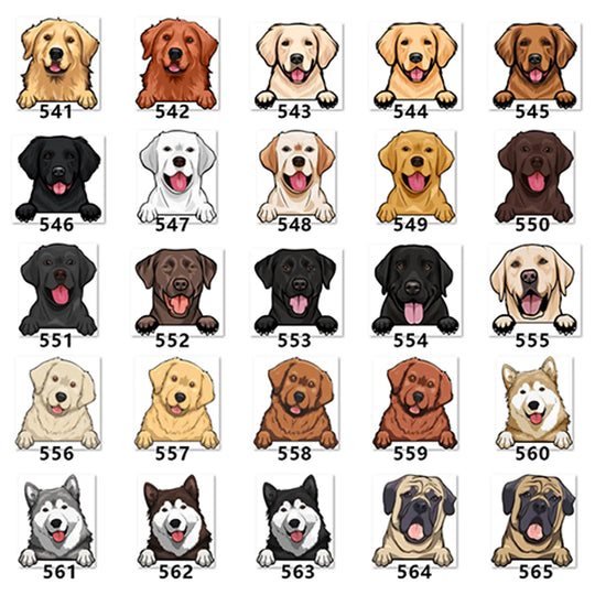 Personalized Pet Toy Basket Anodic Products