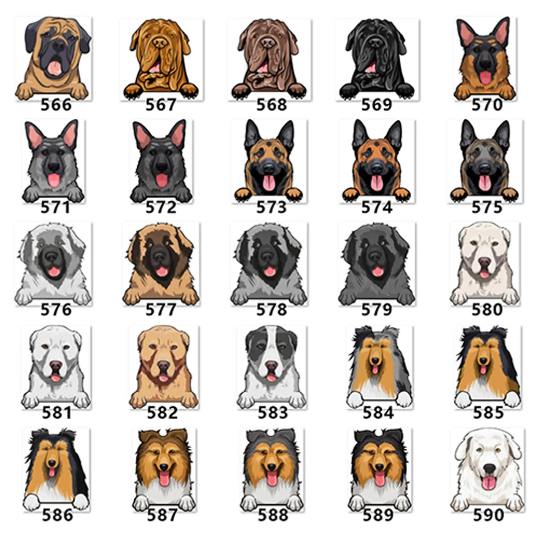 Personalized Pet Toy Basket Anodic Products