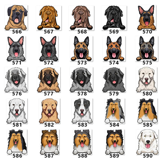 Personalized Pet Toy Basket Anodic Products