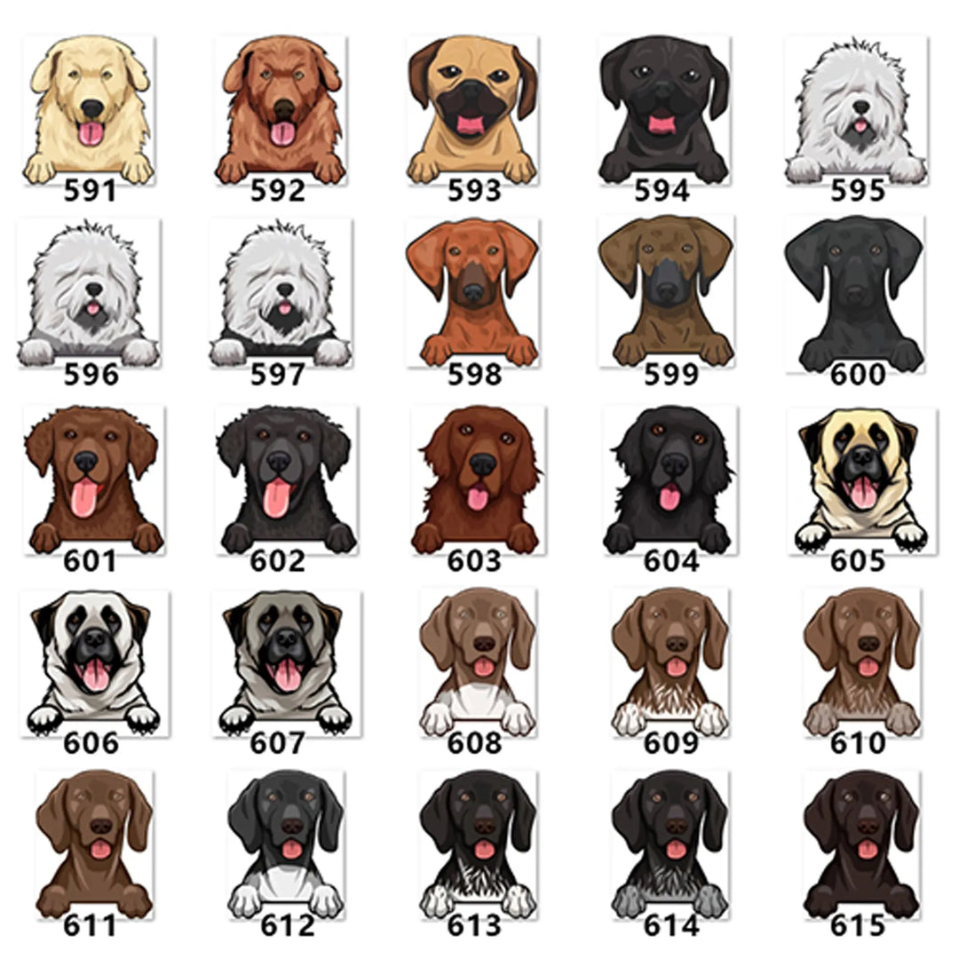 Personalized Pet Toy Basket Anodic Products