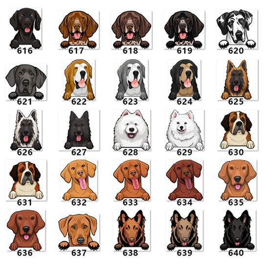 Personalized Pet Toy Basket Anodic Products